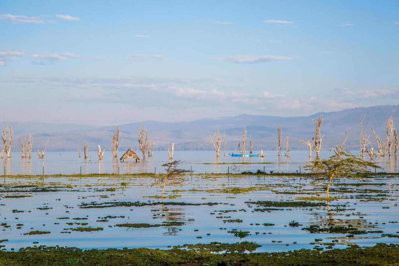 Lake Naivasha Resort Eksteriør billede